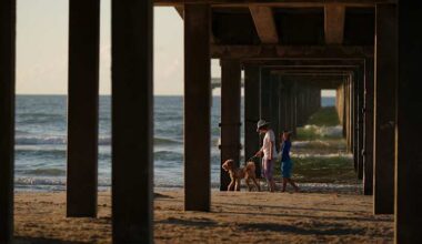 Heading to a beach for summer vacations? These are areas in Texas with elevated levels of bacteria