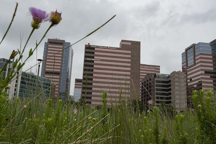 Settlement: Texas Children’s Hospital must create country’s first clinic to reverse transgender care