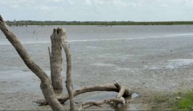 Rockport declares water shortage emergency