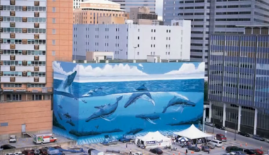 Wyland sends cease and desist over Dallas whale mural – NBC 5 Dallas-Fort Worth