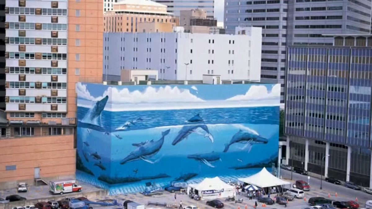 Wyland sends cease and desist over Dallas whale mural – NBC 5 Dallas-Fort Worth