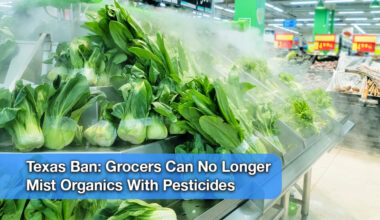 Texas AG Stops Texas Grocers From Misting Organics With Pesticides
