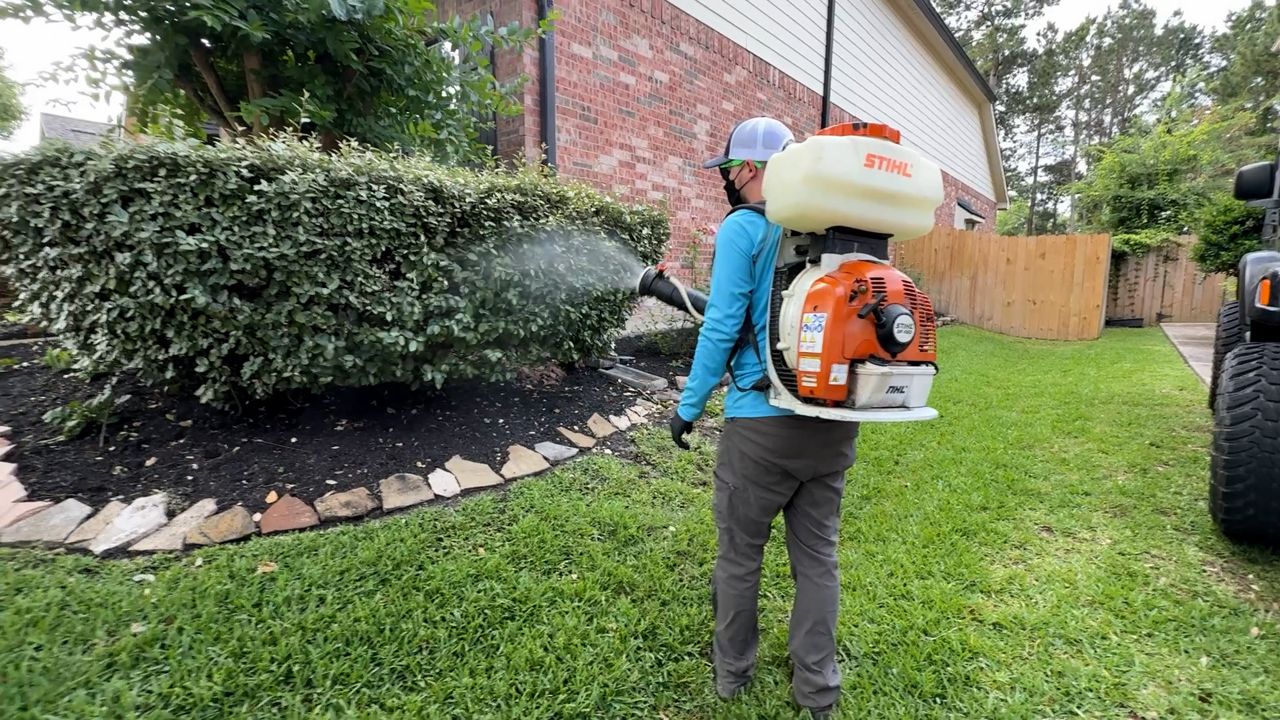 Texas cities rank among top 10 for mosquito activity