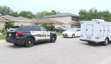 Woman, 80, hospitalized after pit bull bites her face outside home on Northwest Side, SAPD says