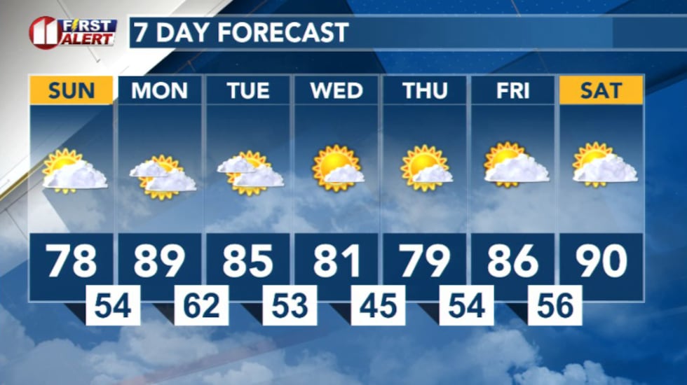7 Day Forecast