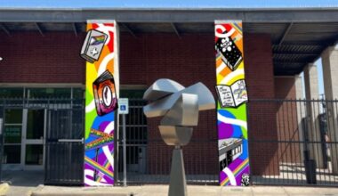 Oak Lawn Library mural follows removal of the rainbow crosswalk – NBC 5 Dallas-Fort Worth