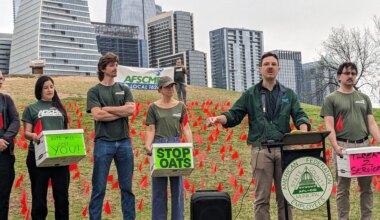 City Plan to Consolidate IT Employees Scales Back • The Austin Chronicle