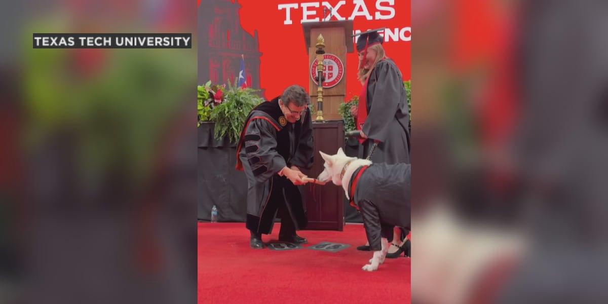 Texas Tech honors service dog with ‘diploma’ in now-viral moment