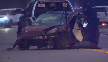 Driver killed after vehicle rolls over, hits tree in Spring, HCSO says