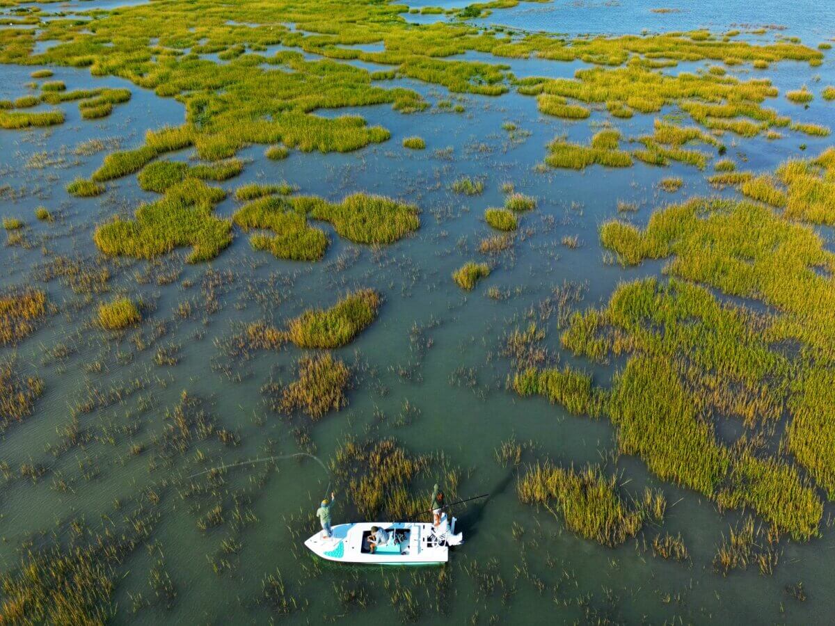 A swampy area features grass and a small fishing boat.