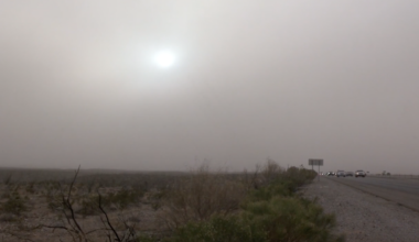 Rising Valley Fever Cases in Borderland Linked to Climate