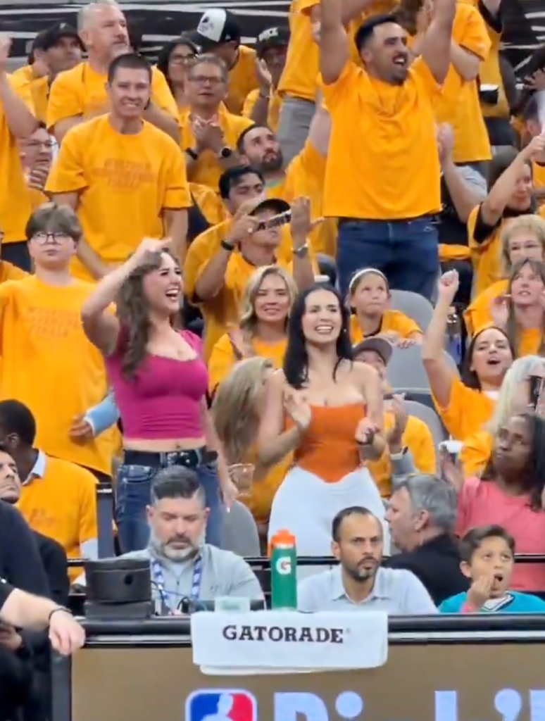 Fans cheering at a basketball game.