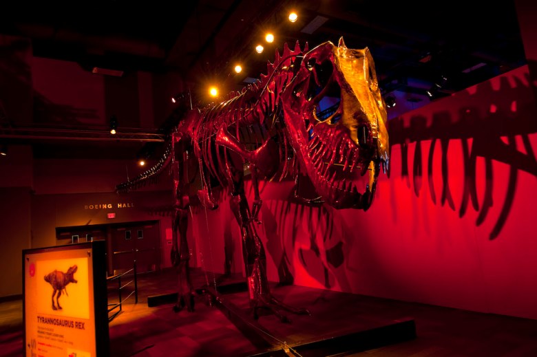A massive Tyrannosaurus rex sculpture is part of the Dinosaurs in Motion exhibit at The DoSeum.