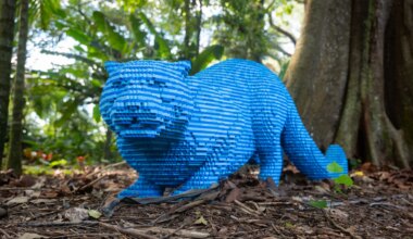 Weekend Worthy: Explore Lego sculptures, built brick-by-brick, at Fort Worth Botanic Garden