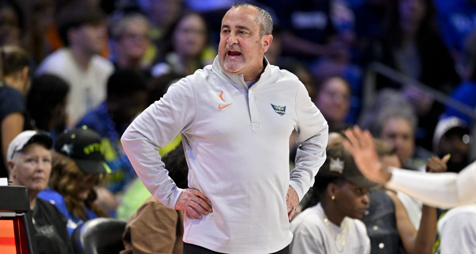 Dallas Wings coach Jose Fernandez slams team for its 'selfishness'