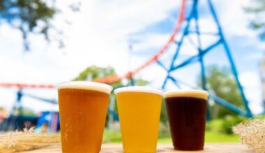 SeaWorld San Antonio to offer free beer to age 21+ pass members