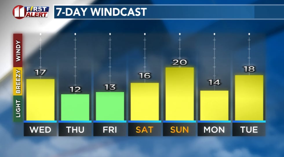Forecast peak sustained winds are shown in this graph. Peak gusts will exceed the values shown...