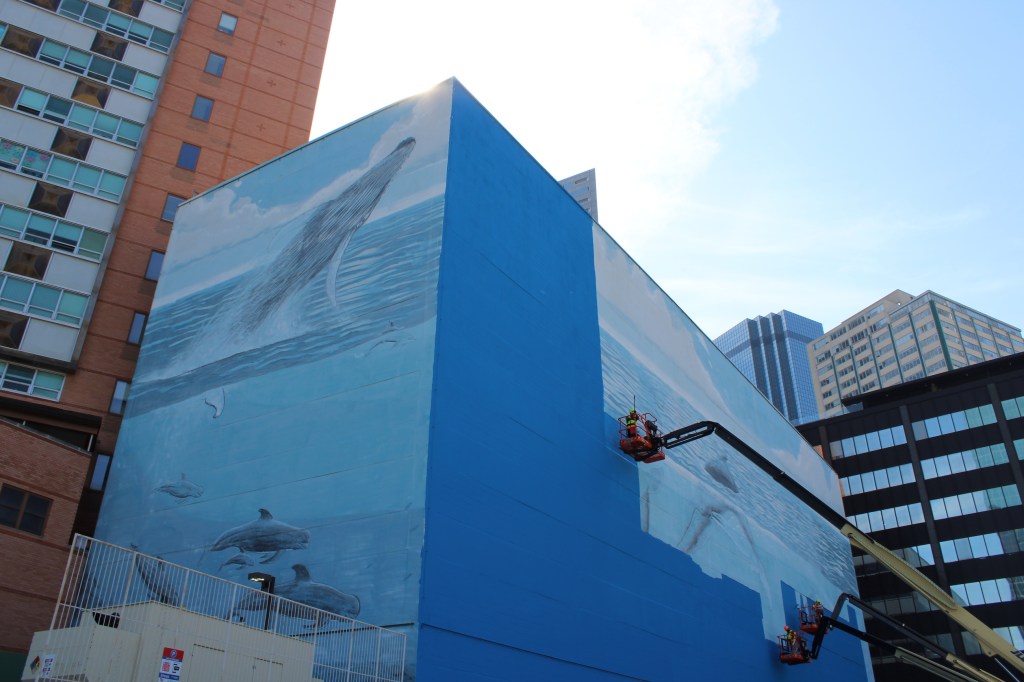 Whale Wall