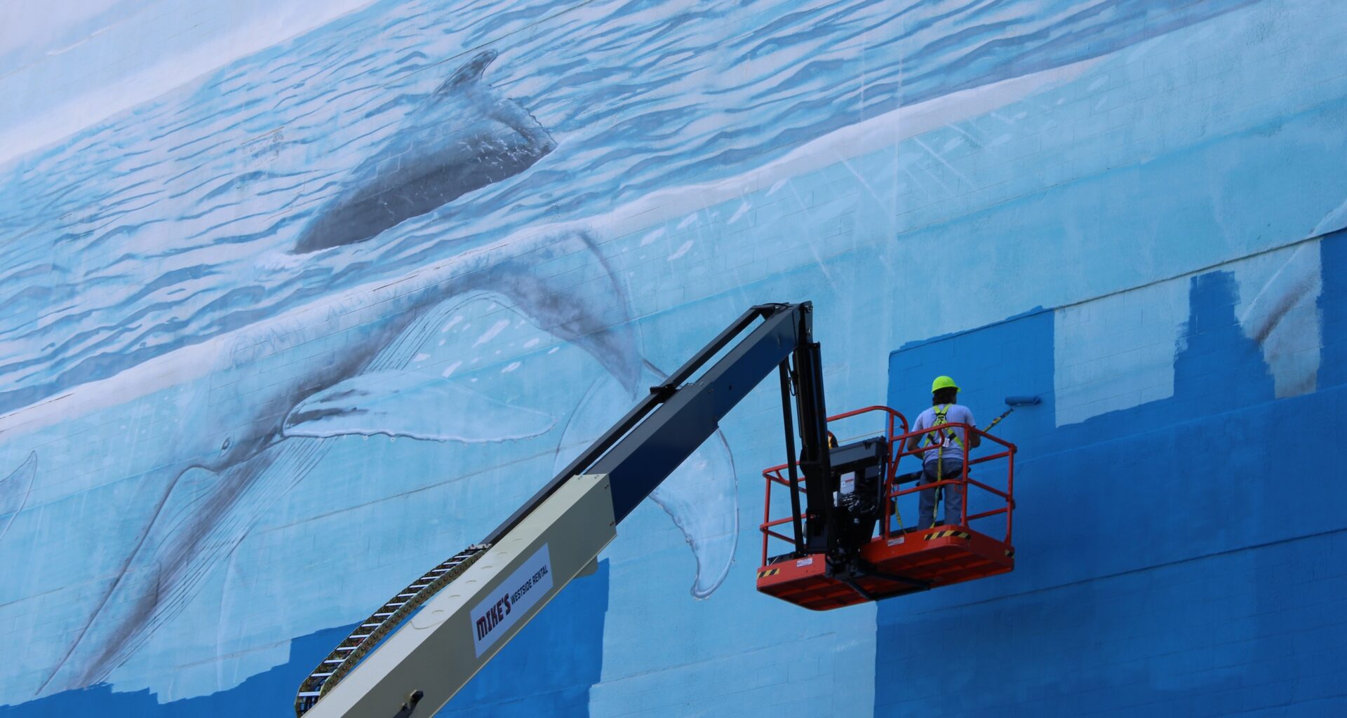 whale wall