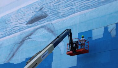 whale wall