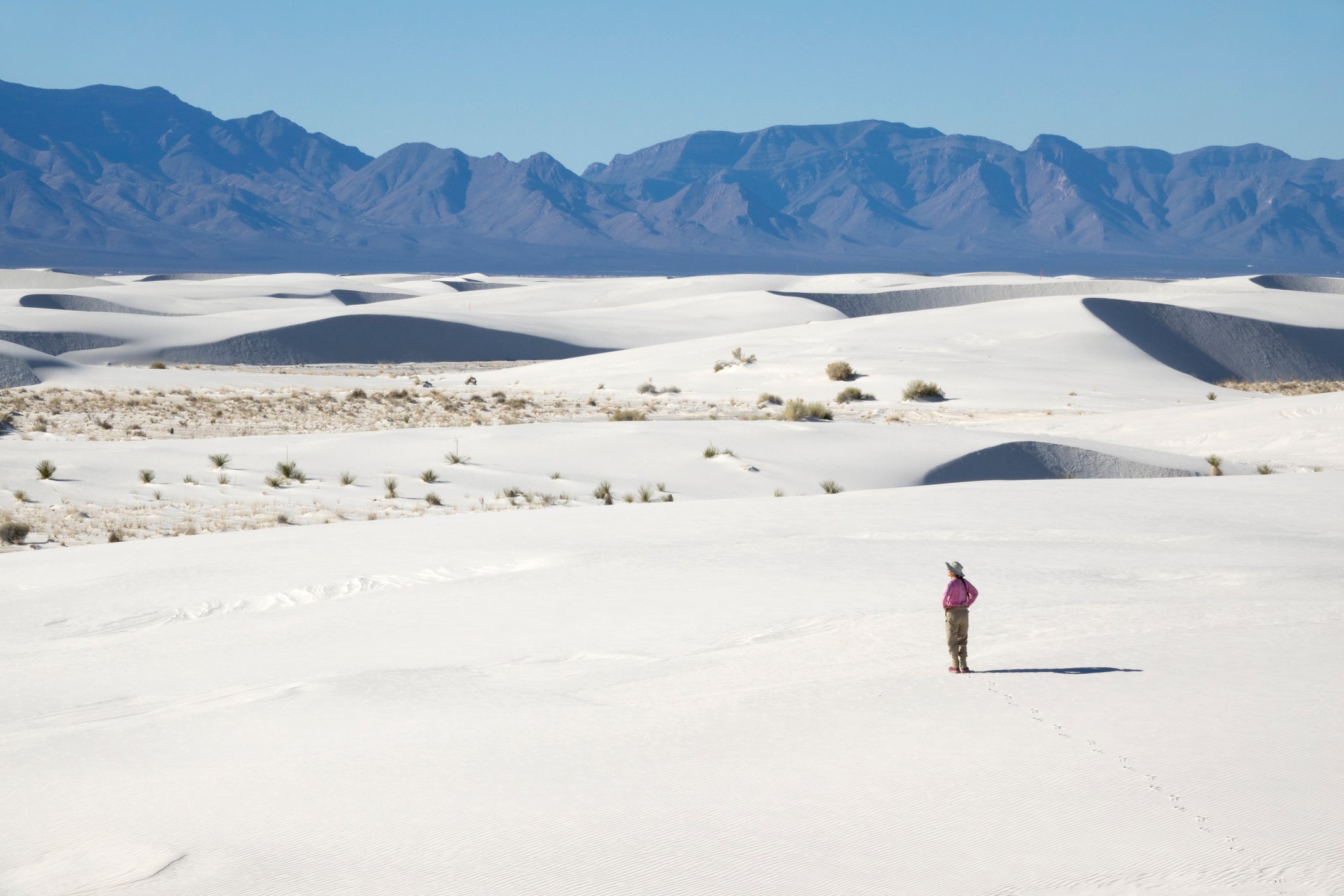 El Paso is located in the Chihuahuan Desert, which includes White Sands National Park