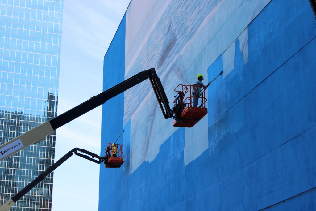Whale Wall