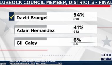 Bruegel wins District 3 council seat