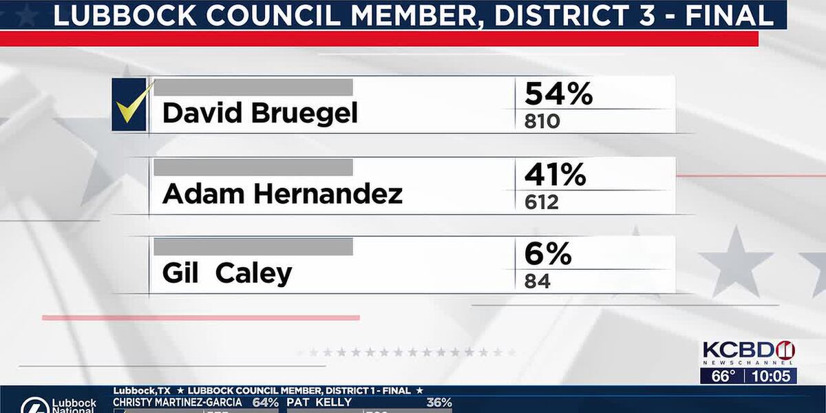 Bruegel wins District 3 council seat