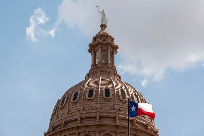 What to know about the Texas Senate District 4 Special Election
