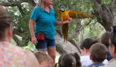 San Antonio Public Library packs summer with free family fun