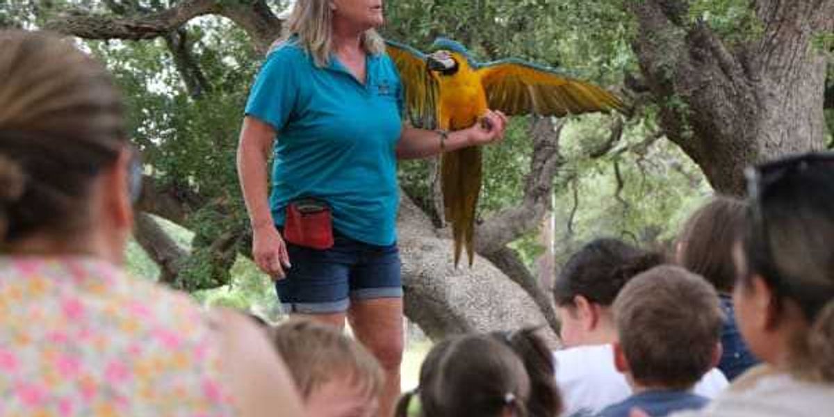 San Antonio Public Library packs summer with free family fun