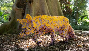 Why Lego animals are coming to the Fort Worth Botanic Garden this summer