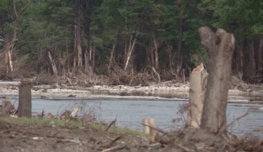 Texas invests $4 million for new, real-time flood alert system after devastating 2025 Hill Country flooding