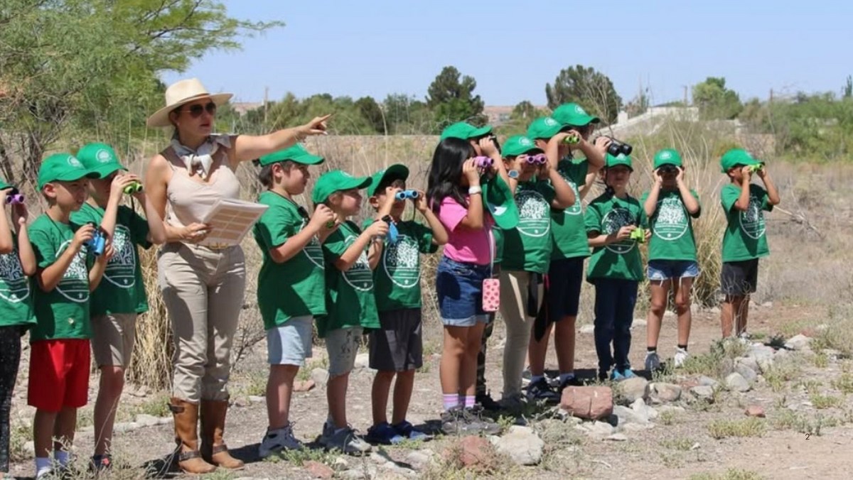 Why The Chihuahuan Desert Is A Biodiversity Hotspot