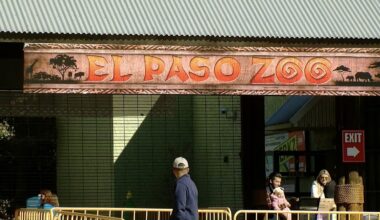 El Paso Zoo To Launch Breeding Center For Endangered Species