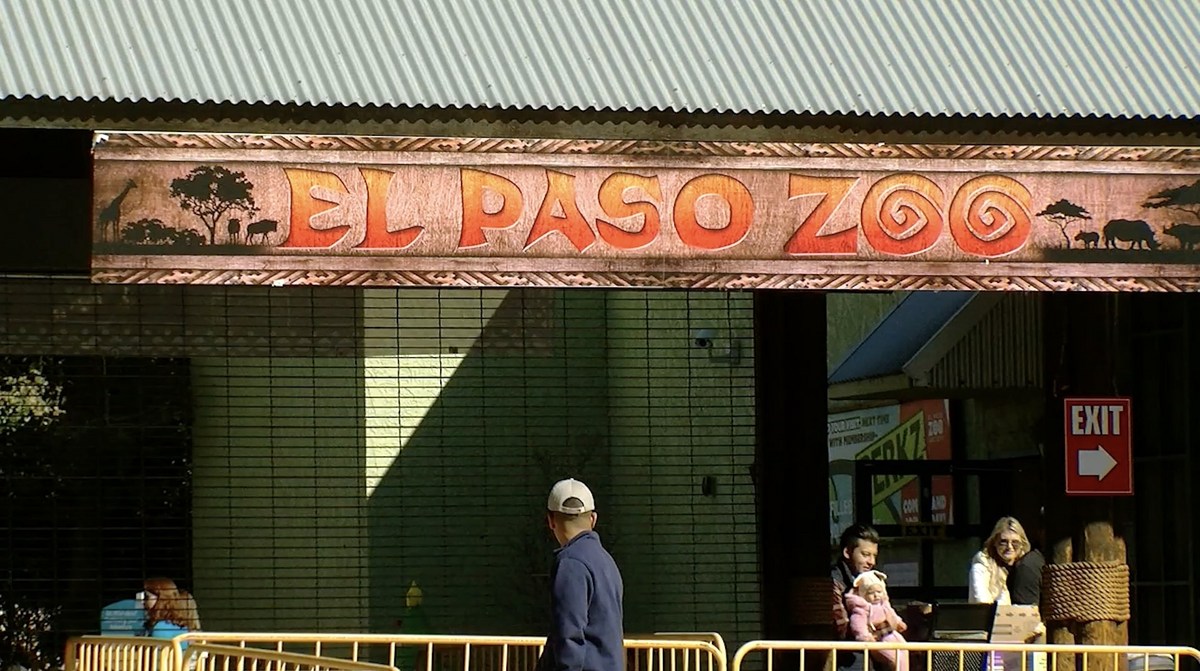 El Paso Zoo To Launch Breeding Center For Endangered Species