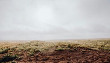 The Most West Texas Flex Ever: Knowing a Guy With Land