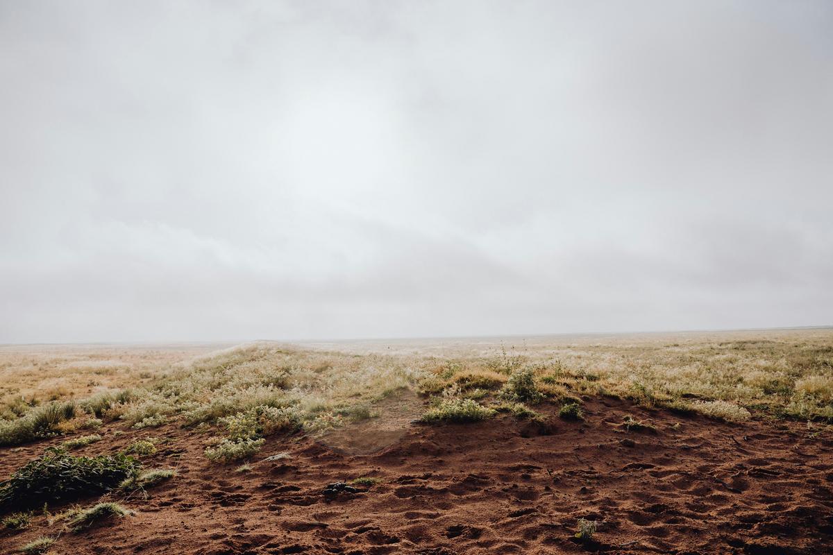 The Most West Texas Flex Ever: Knowing a Guy With Land