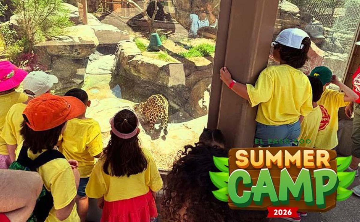 Guide: Affordable Summer Camps Available in El Paso