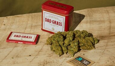 The Shift In Texas Attitudes Toward Marijuana And Freedom