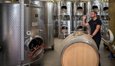 How To Enjoy Wine Festivals Even If You Don't Like Wine