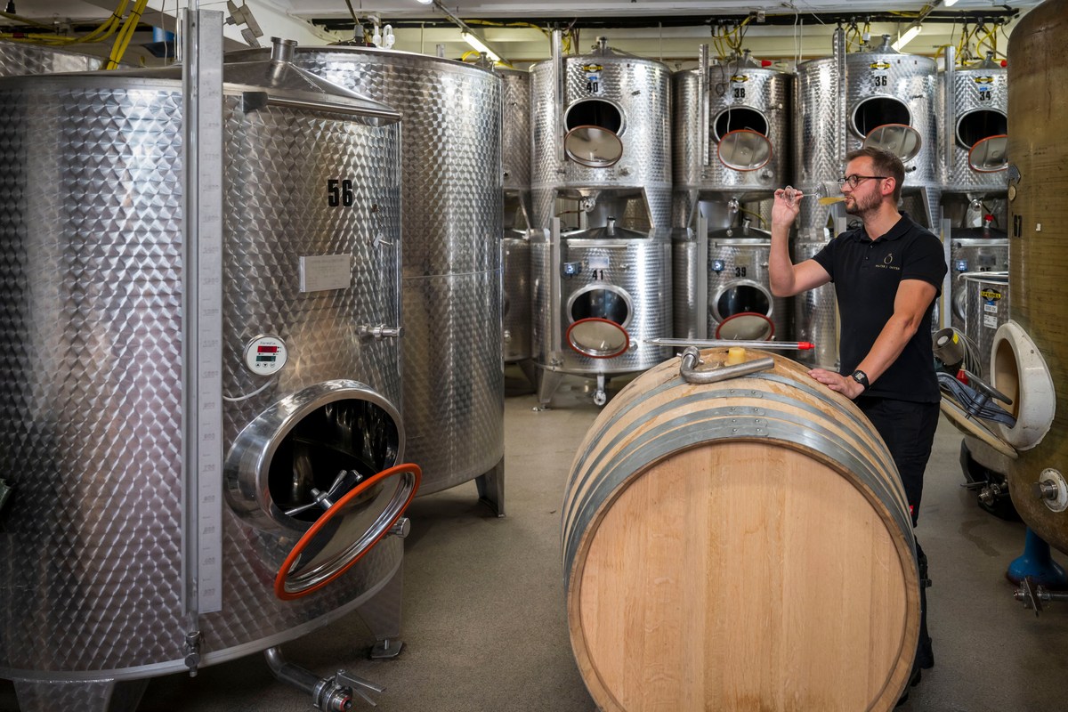 How To Enjoy Wine Festivals Even If You Don't Like Wine