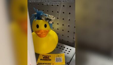 El Paso’s Viral Duck Hunt Has Locals Searching Everywhere