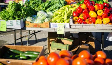 What To Expect At Lubbock's Downtown Farmers Market This Season