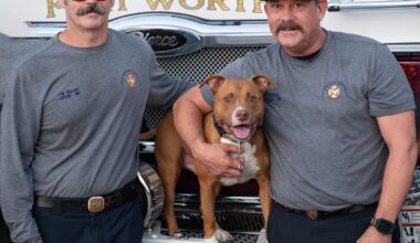 Homeless veteran Tom and his dog Jake find help, new homes in Fort Worth