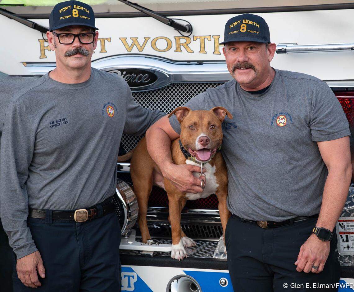 Homeless veteran Tom and his dog Jake find help, new homes in Fort Worth