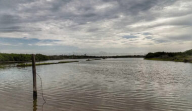 Be careful if you're planning to cool off in a South Texas river this weekend