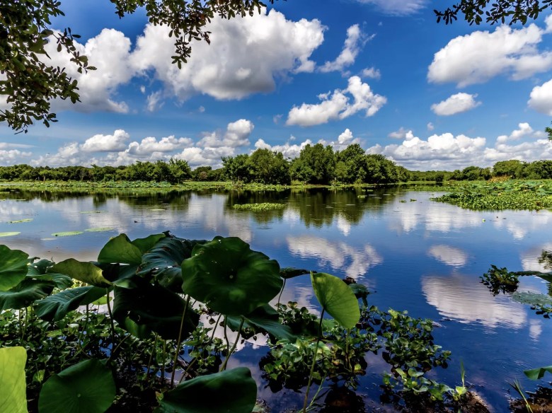 This image has an empty alt attribute; its file name is brazos-bend-state-park-1024x767.webp