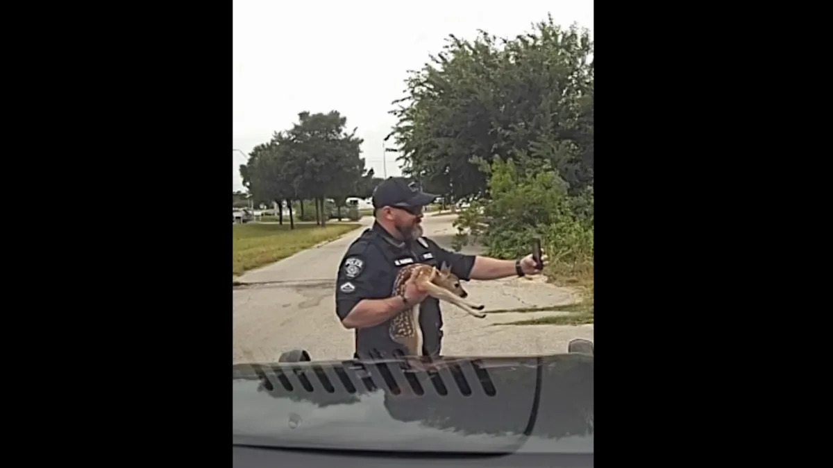 Texas Police Officer Plays Lassie in Real Life After a Doe Flags Down His Patrol Car