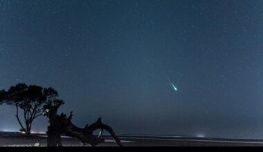 Eta Aquarids: Tips for watching the meteor shower during its peak, despite moonlight